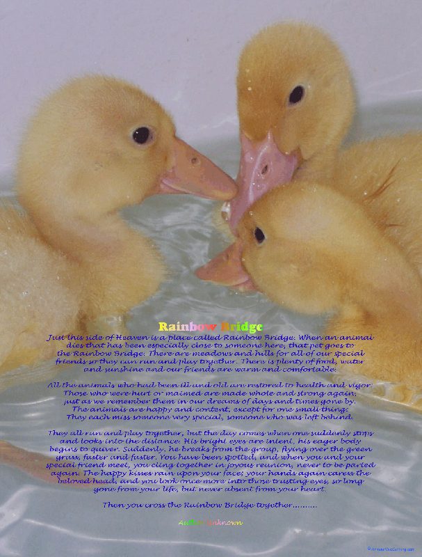 This is what the poster looks like but, the one you get will be much more clear and BIG!